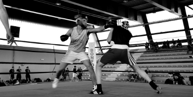 combattimento boxe